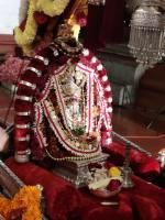Vishnu Rudra Purusha Sukta Havana (17Dec 2020)